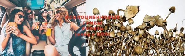 мяу мяу мука Алзамай
