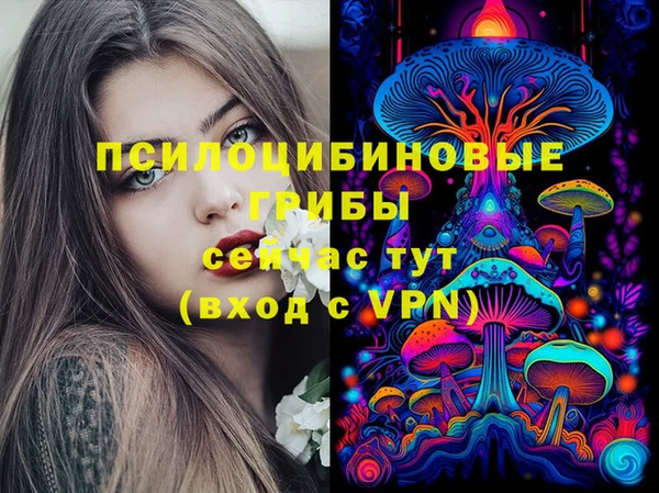 мяу мяу мука Алзамай